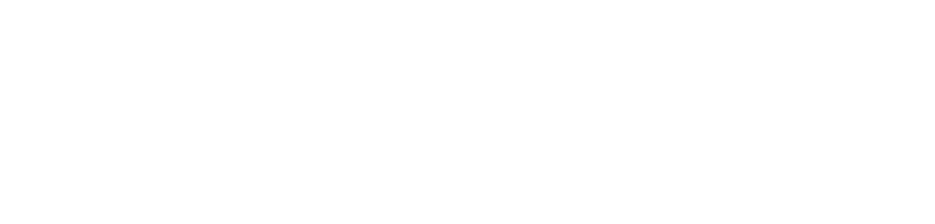 Perplexity